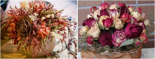 Flores secas Flores secas