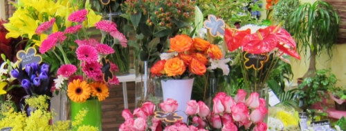 Floristerias Floristerias